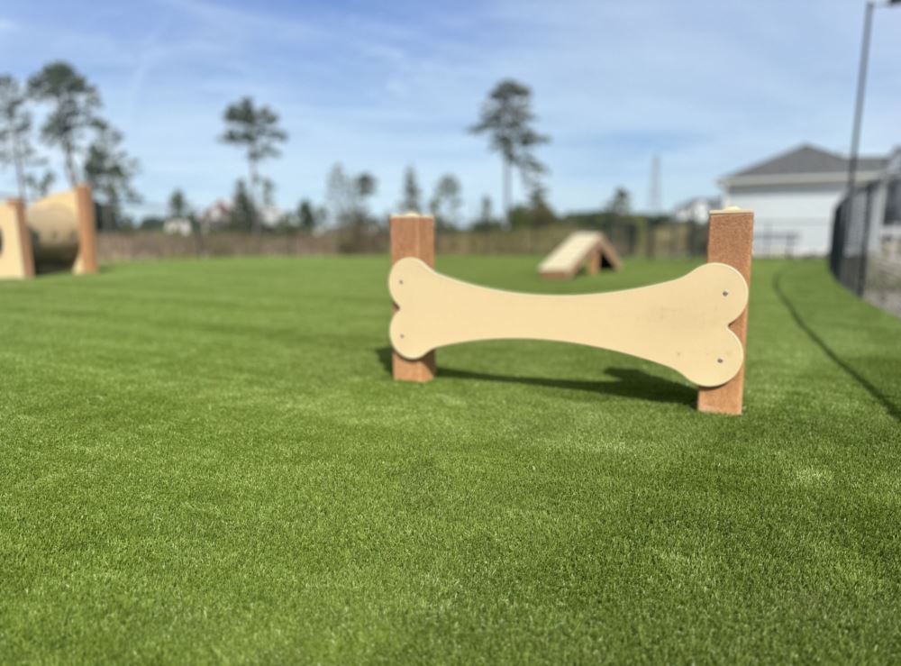 Dog Park Image 1