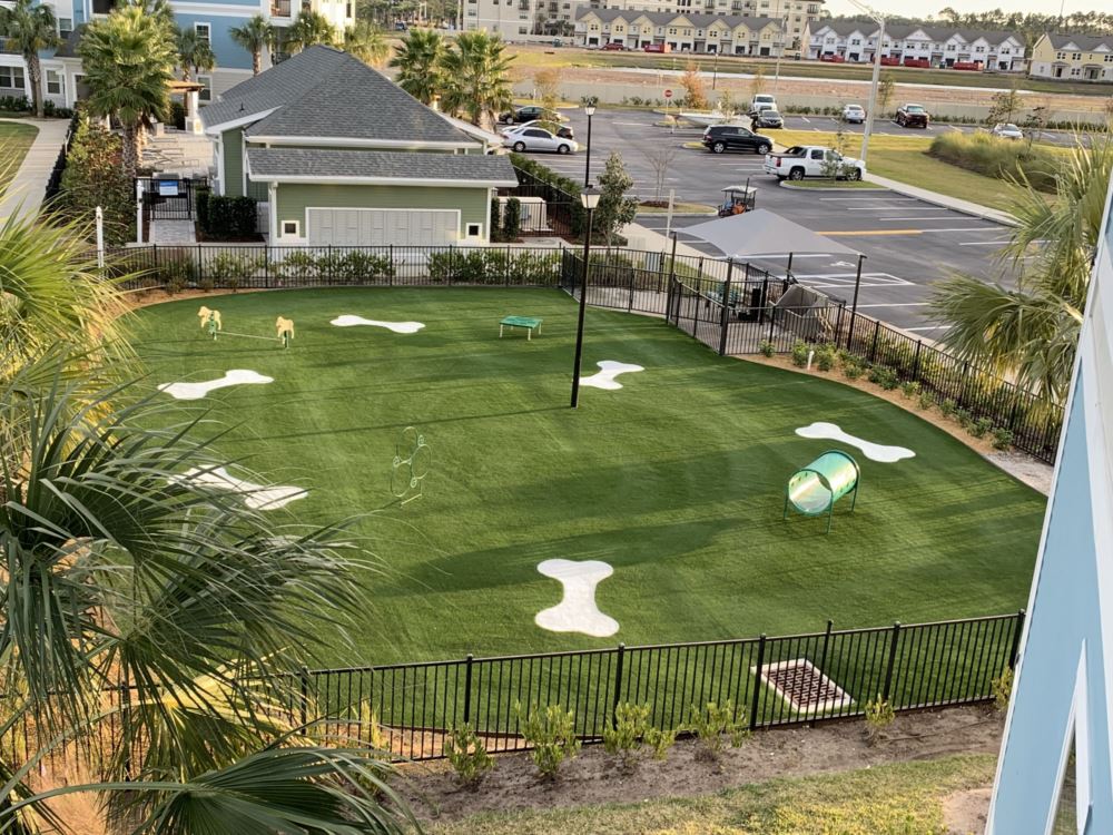 bermudak9_collinsturf (1)